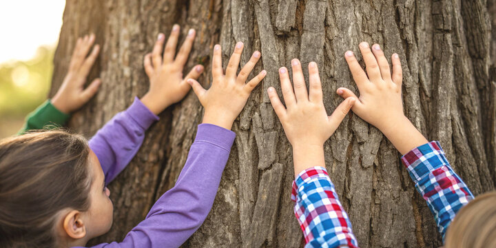 Protecting the environment for children through conservation education with kids touching tree trunks