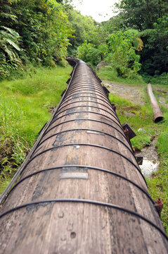 Dominica, Morne Trois Pitons, pipeline through the forest