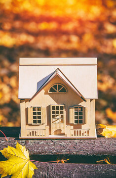 The symbol of the house stands among the fallen autumn leaves
