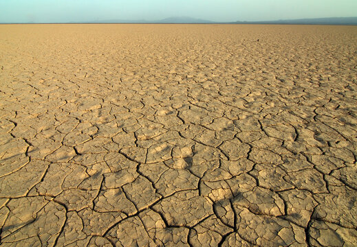 Djibouti, Inland, cracked earth through the desert