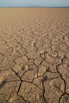 Djibouti, Inland, cracked earth through the desert