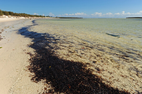 Madagascar, Baie de Sakalava, view on the white sand beach and transparent water