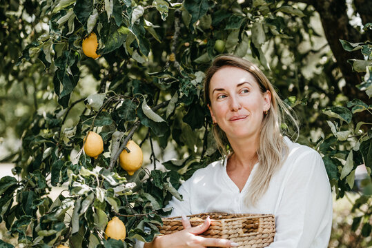 Smiling woman holding fresh lemons while sitting under a lemon tree in a sunny orchard