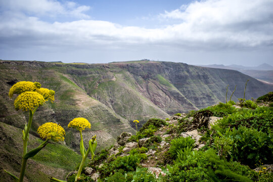 Walking from Har&iacute;a to Teguise on the Canary Island of Lanzarote