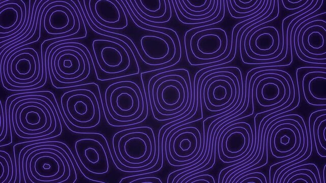 Abstract purple topographic contour line motion graphic background