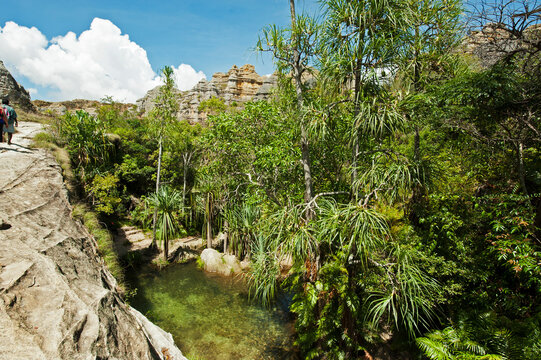 Madagascar, National Park of Isalo, green natural swimming pool in the piscine naturelle circuit