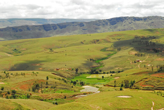 Madagascar, Inland, landscape of hills and la rice fields