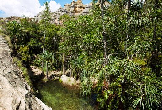 Madagascar, National Park of Isalo, green natural swimming pool in the piscine naturelle circuit
