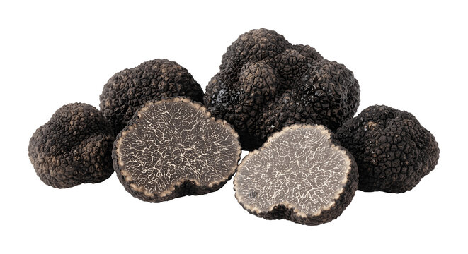 Sliced and whole black truffles set against a white background
