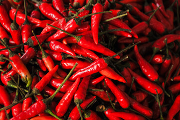 fresh red chili peppers (Capsicum annuum), known for their spicy taste and high content of vitamin C and the compound capsaicin © and