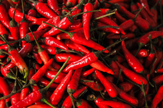 fresh red chili peppers (Capsicum annuum), known for their spicy taste and high content of vitamin C and the compound capsaicin