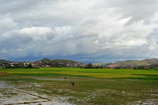 Madagascar, Antananarivo, green rice paddies under the clouds