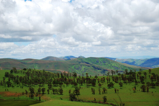 Madagascar, Inland, reforestation on hills
