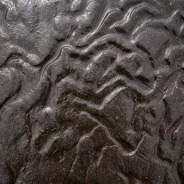 Wet dark mud ripples create a natural organic texture for web design backgrounds, artistic overlays, and environmental 3D rendering projects.