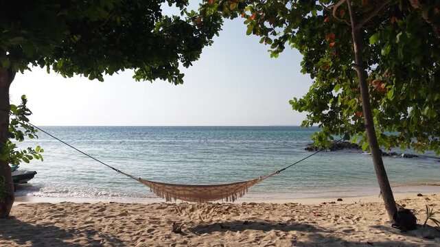 Cinematic Drone Flight Through Tropical Trees Towards Turquoise Coastal Waters of Karimunjawa Island
