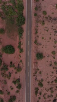 Top down aerial of Recta del Tin Tin highway crossing arid landscape, drone vertical background