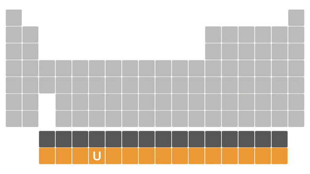 Illustrazione grafica di Tabella periodica degli elementi con evidenza dell'elemento chimico Uranio - Simbolo U - Gruppo Actinidi