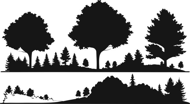 Architectural elevation silhouette of deciduous and coniferous trees