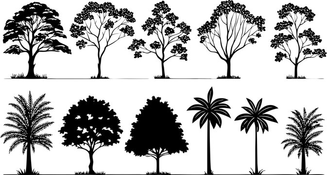 Collection of architectural tree silhouettes, various species set