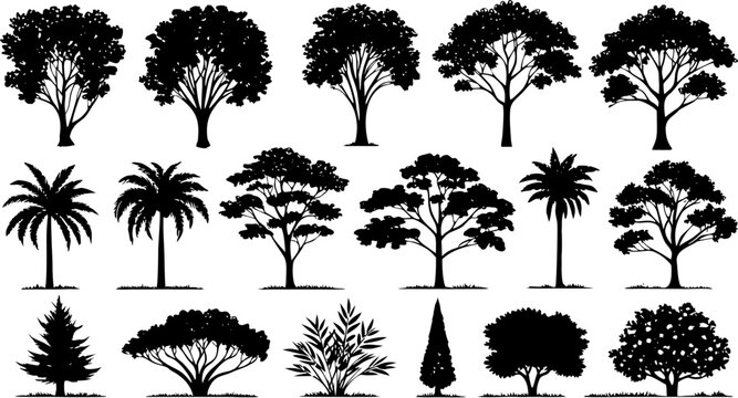 Collection of black silhouette trees, palms, and shrubs on white