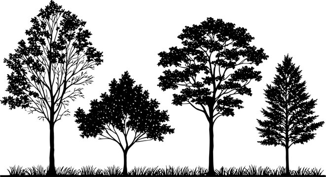 Four distinct tree silhouettes with grass on a white background nature
