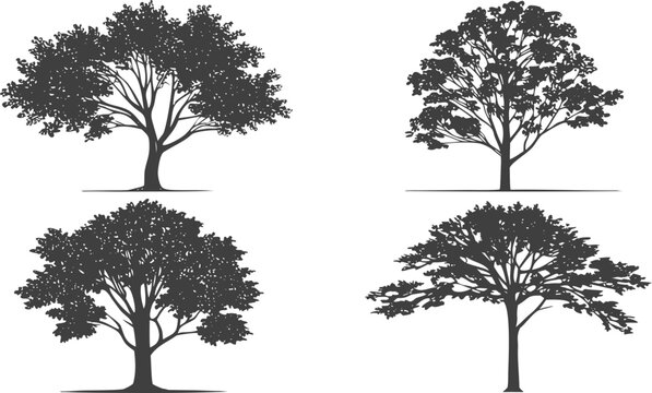 Set of four grayscale tree silhouettes for architectural site plans