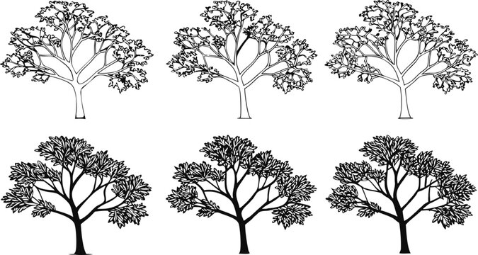 Six stylized trees with varying leaf density on a white background