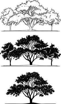 Three architectural tree elevations in line and silhouette styles