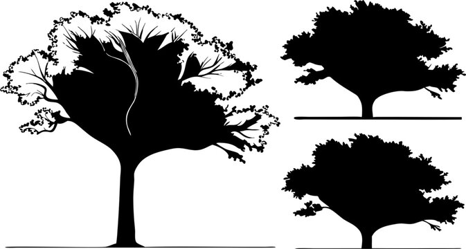 Three stylized deciduous tree silhouettes on a white background nature