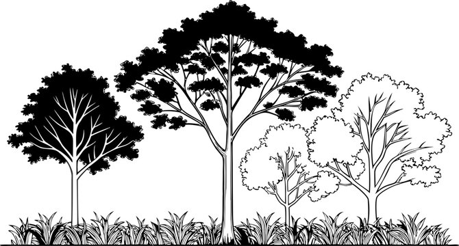 Architectural elevation of four trees and grass on white background