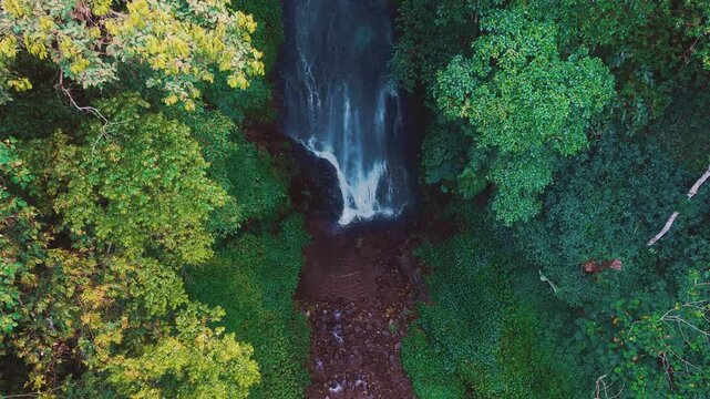 Aerial drone view of Coban Kaca waterfall flowing through dense tropical forest in Malang, East Java, Indonesia. The narrow waterfall cascades between lush green trees, creating a peaceful and seclude