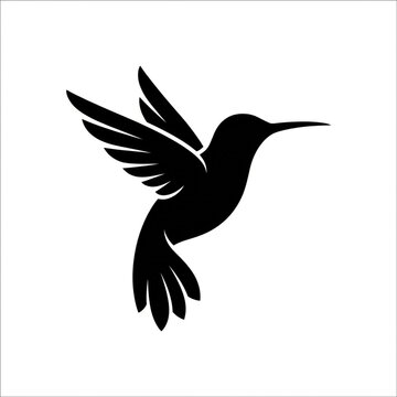 Hummingbird silhouette icon. Black vector bird graphic isolated on white background.