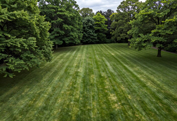 Obraz premium Lush green lawn with freshly mowed stripes surrounded by Mature trees in a park or garden setting, Mature trees with dense foliage line the edges of the expansive grassy area