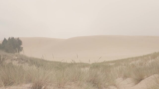 Eerie isolated misty sandy dunes park area in daylight