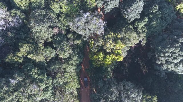Aerial View of Misty Forest Hills in Lambasingi India