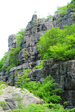 Madagascar, National Park of Ankarana, Tsingy spike rocks amid the green forest