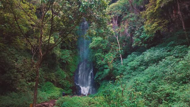 Aerial drone view of Coban Kaca waterfall flowing through dense tropical forest in Malang, East Java, Indonesia. The narrow waterfall cascades between lush green trees, creating a peaceful and seclude
