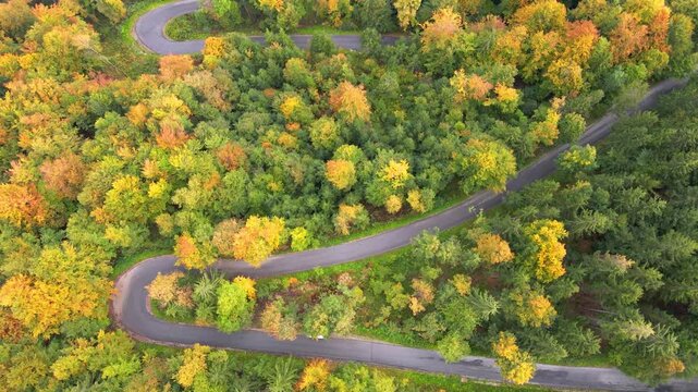 Drone ascending above winding mountain roads through vibrant autumnal forest