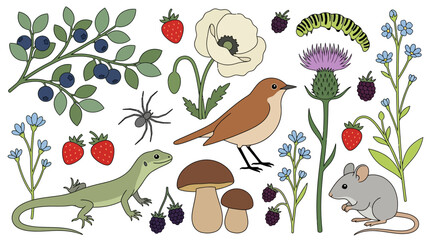 Obraz premium Hand-drawn Nature Illustration Set Featuring Garden Wildlife, Flowers, Berries, and Forest Animals Isolated on White Background