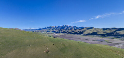 Naklejka premium Green Grassland Hills and Snow Peaks of Maya Snow Mountain, Tianzhu, Gansu