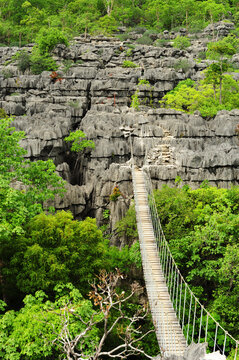 Madagascar, National Park of Ankarana, Men crossing canopy bridge throughTsingy spike rocks amid the green forest