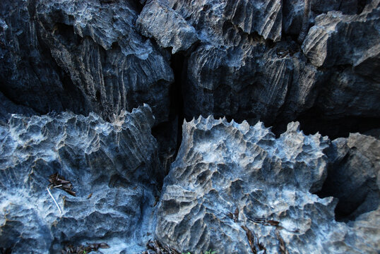 Madagascar, National Park of Ankarana, close-up on Tsingy rocks