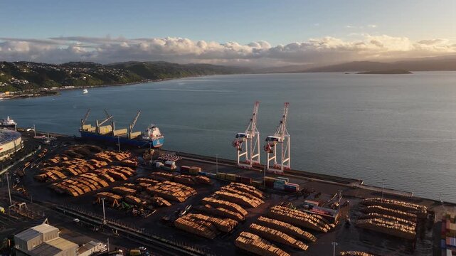Wellington port with timber stacks and quay crane during sunrise, aerial shot