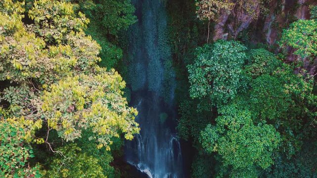 Aerial drone view of Coban Kaca waterfall flowing through dense tropical forest in Malang, East Java, Indonesia. The narrow waterfall cascades between lush green trees, creating a peaceful and seclude