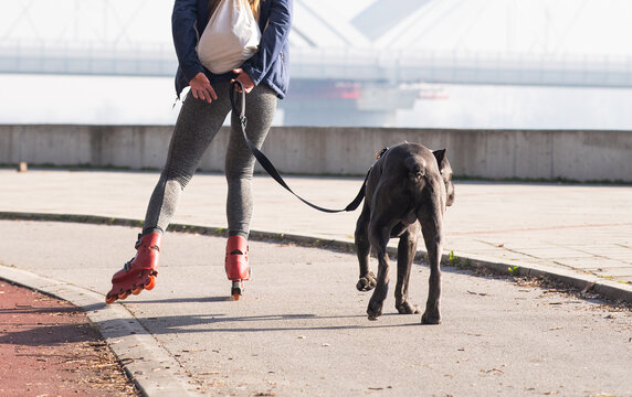 Woman Rollerblading with Large Dog Outdoors