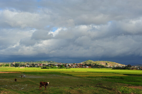 Madagascar, Antananarivo, green rice paddies under the clouds