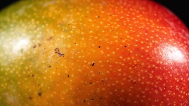 Detailed Macro Close Up of a Fresh Ripe Mango Peel Texture Showcasing Vibrant Tropical Fruit Skin Pattern and Natural Organic Speckles