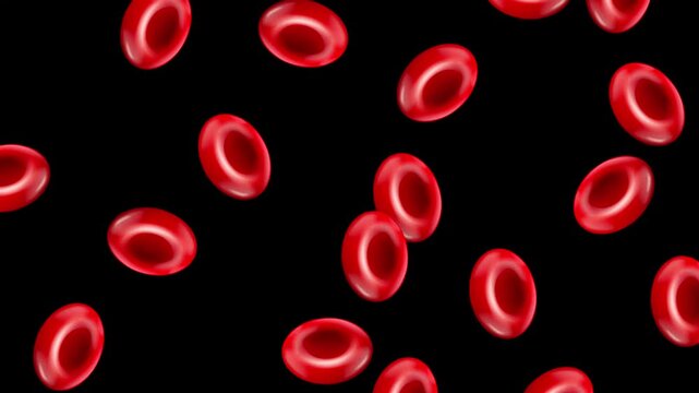 Red Blood Cells Falling Downward Against a Solid Black Background