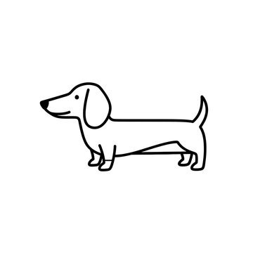 Dachshund vector line art icon of a standing dog