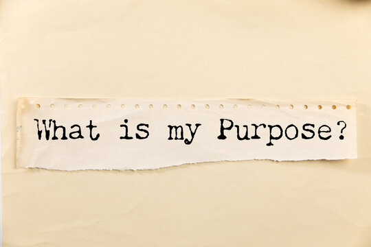 What is my Purpose question